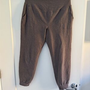 Beyond the Bump joggers